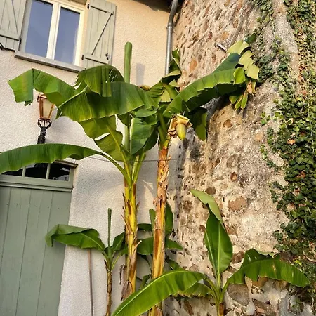 Maison Hirondelles Gites Mezieres-sur-Issoire Exterior foto