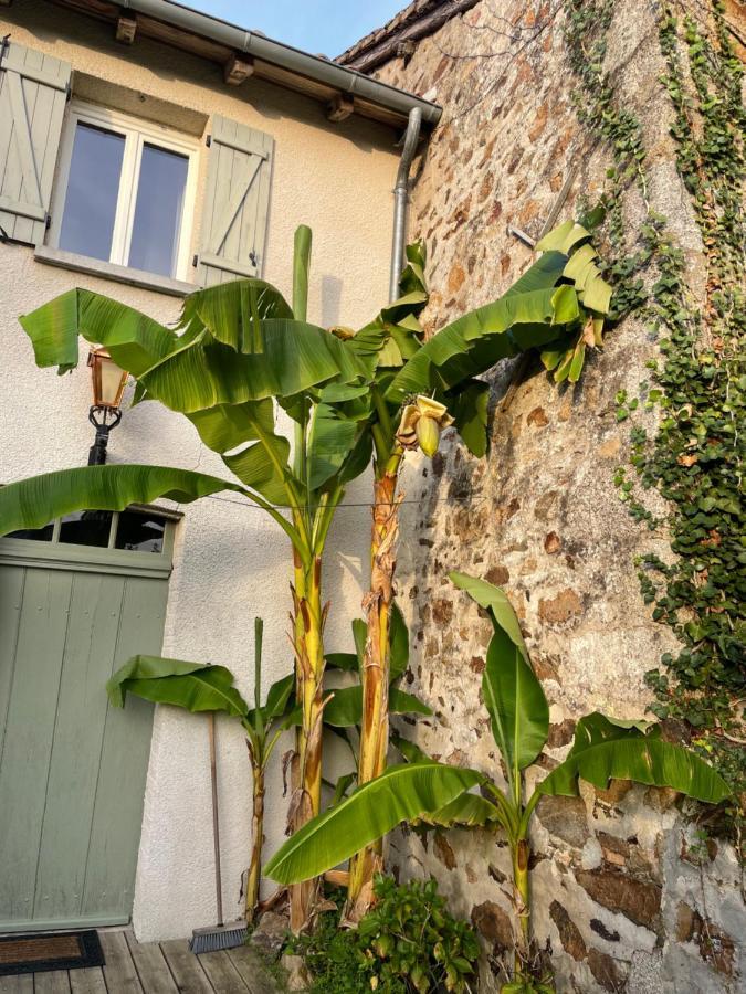 Maison Hirondelles * Mezieres-sur-Issoire